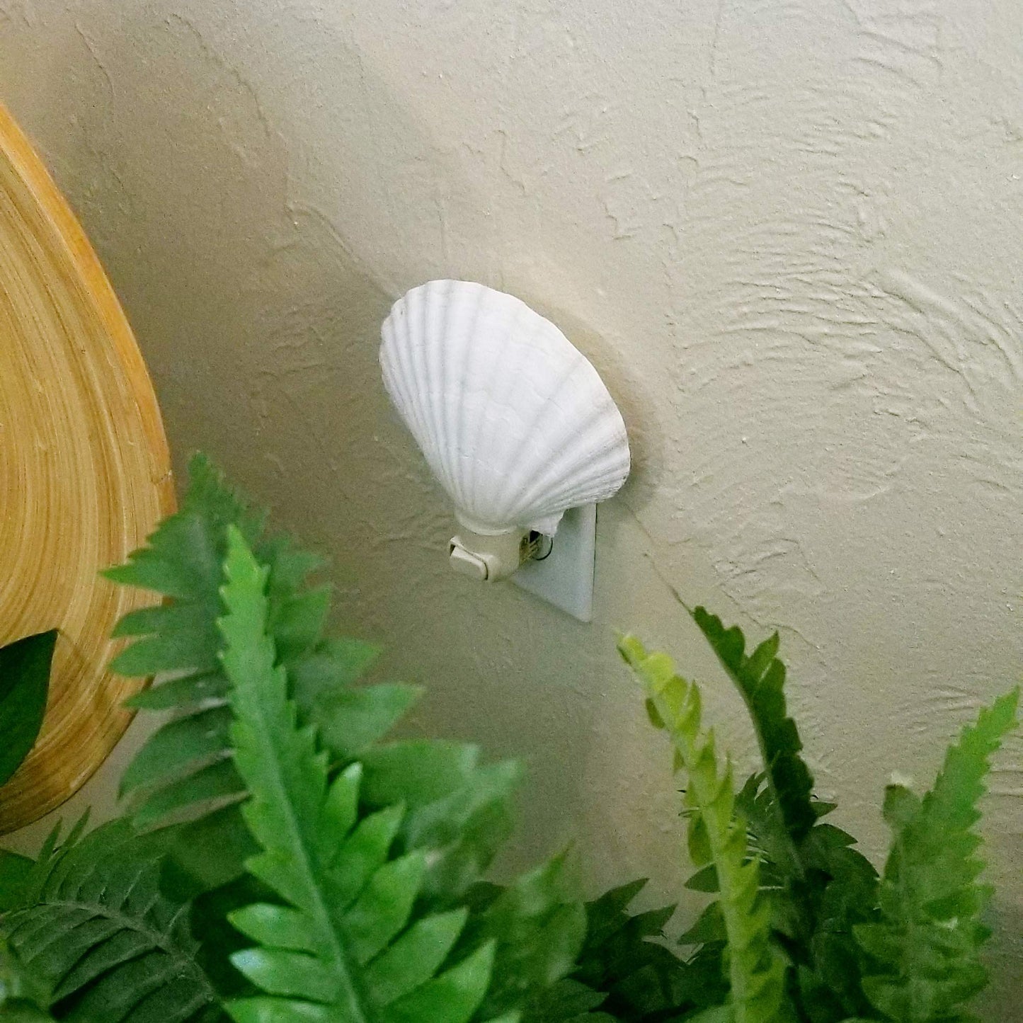 Beachy Night Light