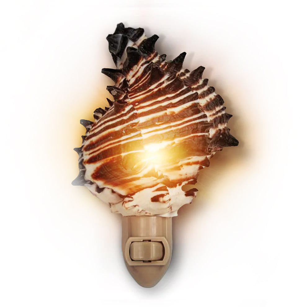 Real Shell Night Lights