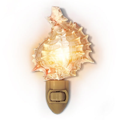 Real Shell Night Lights - Murex - Pink