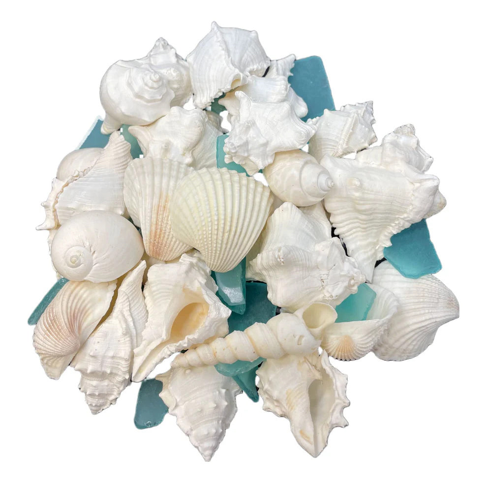 Sea Shells, Starfish & Sea Glass Mix