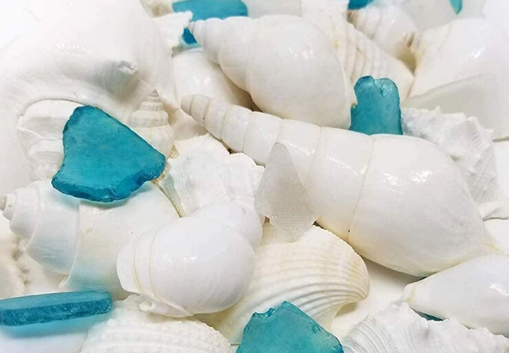 Tumbler Home White Sea Shell Mix with Blue and White Sea Glass
