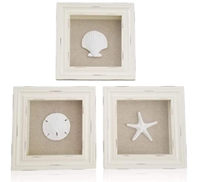 Shell Shadow Boxes